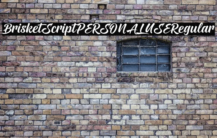 Brisket Script PERSONAL USE Regular Example 3