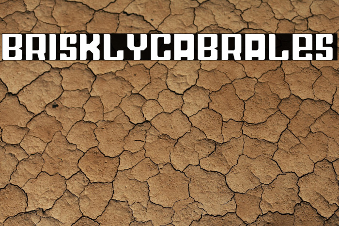 BrisklyCabrales Example 3