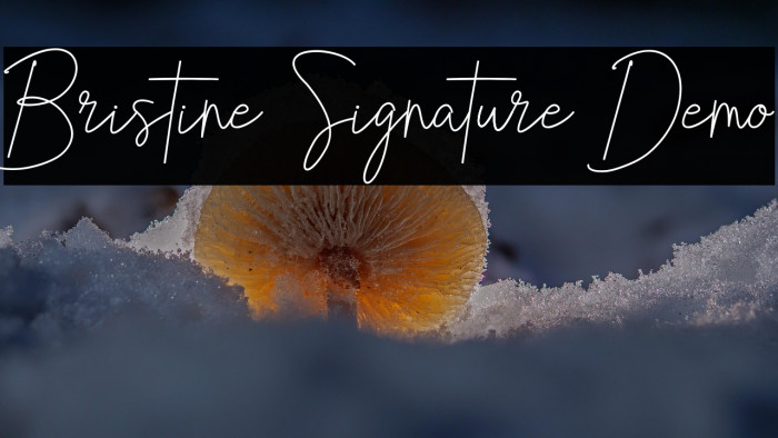 Bristine Signature Demo Example 1