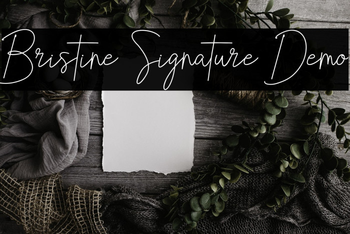 Bristine Signature Demo Example 2