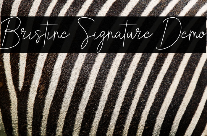 Bristine Signature Demo Example 3