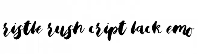 Bristle Brush Script Black Demo  Frei Schriftart Herunterladen