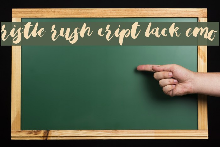 Bristle Brush Script Black Demo Font examples