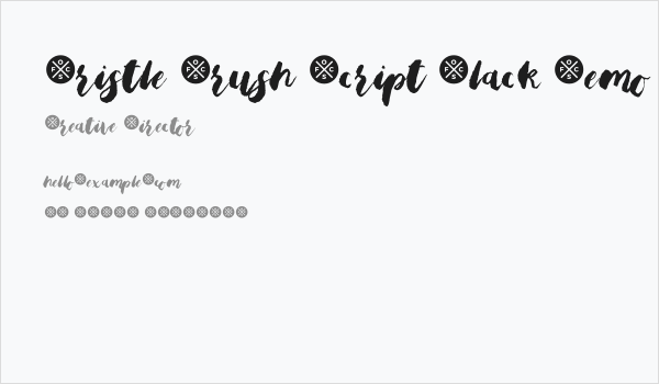 Bristle Brush Script Black Demo Business Card