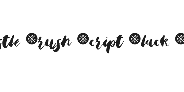 Bristle Brush Script Black Demo Logo