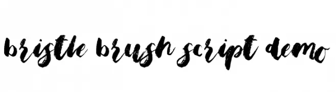 Bristle Brush Script Demo  Скачать бесплатные шрифты