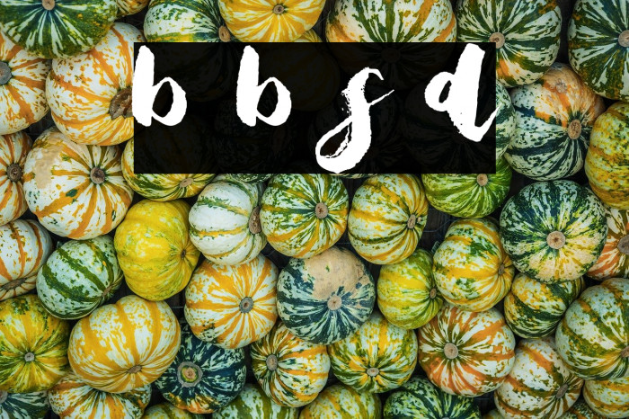 Bristle Brush Script Demo Example 1