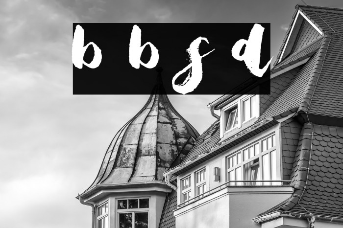 Bristle Brush Script Demo Example 2