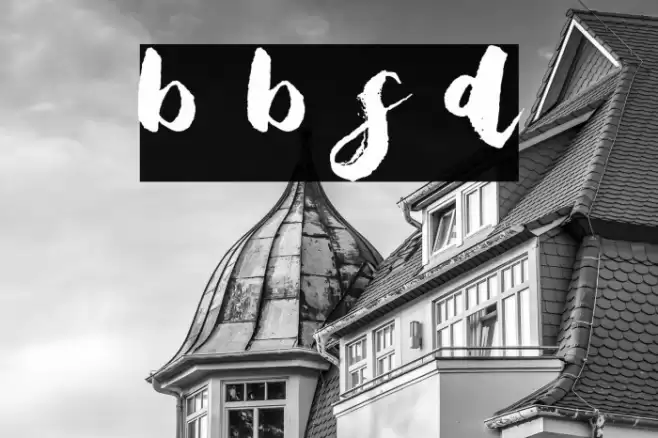 Bristle Brush Script Demo Schriftart examples