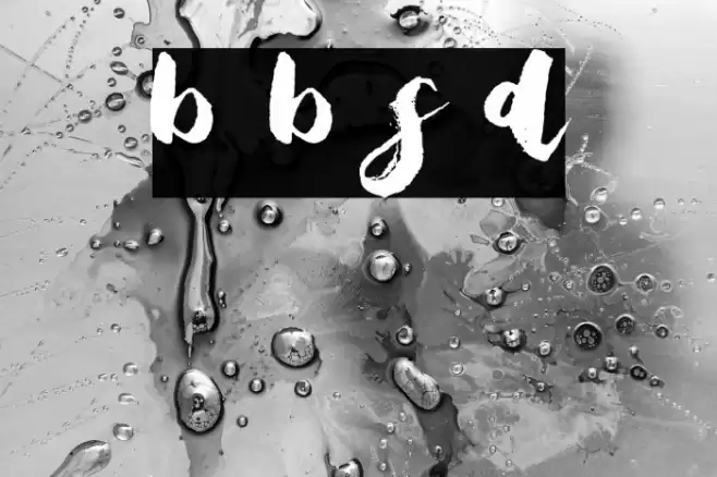 Bristle Brush Script Demo Schriftart examples