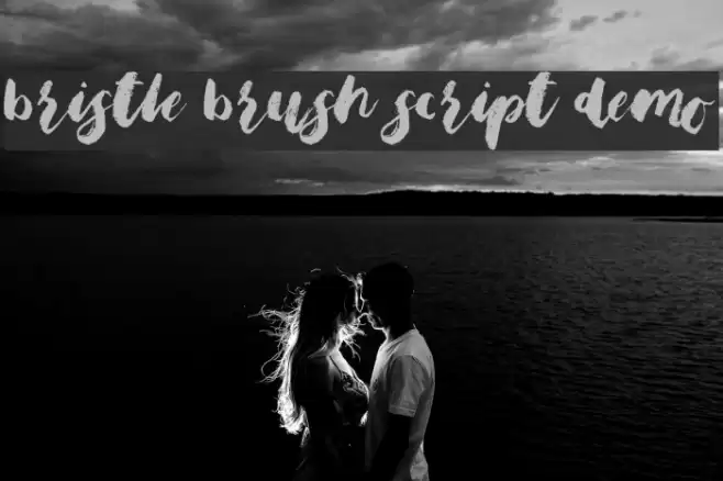 Bristle Brush Script Demo Font examples