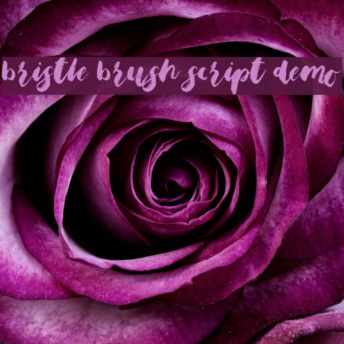 Bristle Brush Script Demo Font examples