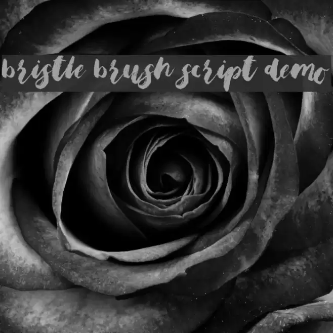 Bristle Brush Script Demo Font examples