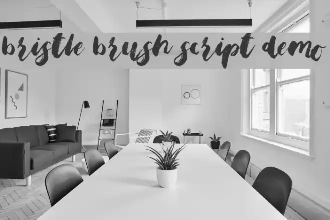 Bristle Brush Script Demo Font examples