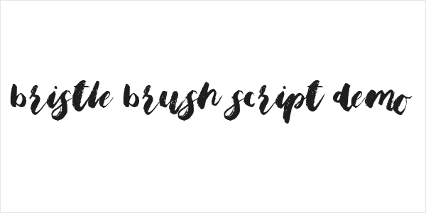 Bristle Brush Script Demo Logo