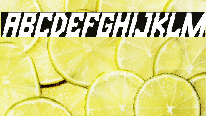 Bristle Creek Italic Example 1