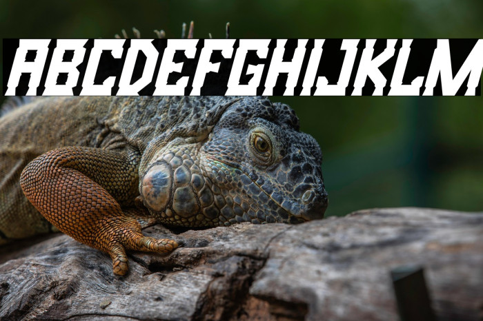 Bristle Creek Italic Example 2