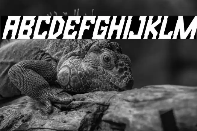 Bristle Creek Italic Caratteri examples