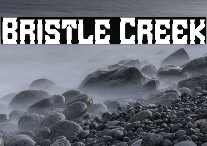 Bristle Creek Example 2