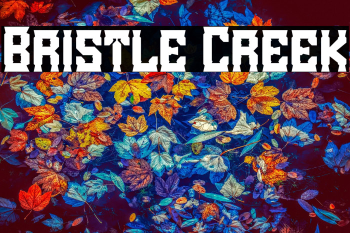 Bristle Creek Example 3