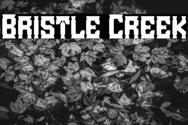 Bristle Creek フォント examples