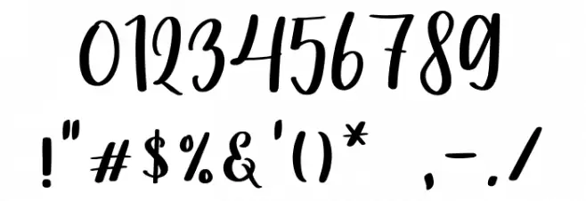Bristol City Font OTHER CHARS