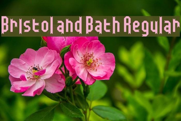 Bristol and Bath Regular Font examples