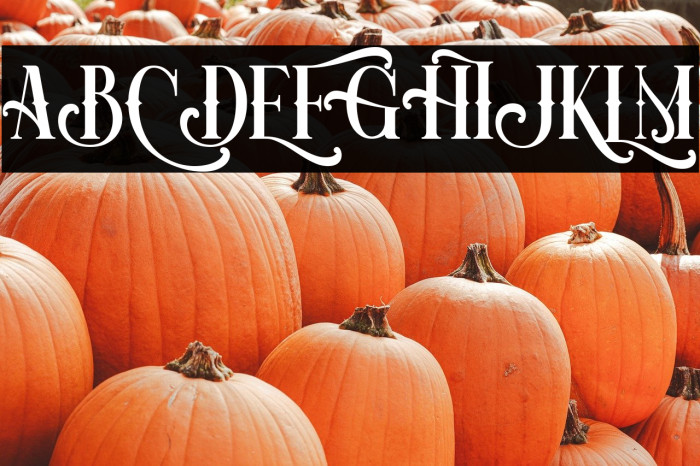 Bristol maver Regular Example 1