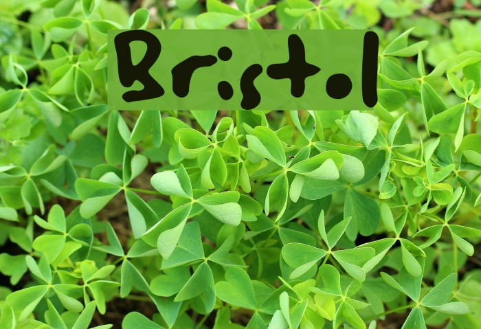 Bristol Font examples