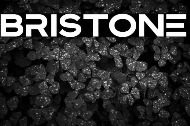 Bristone Font examples