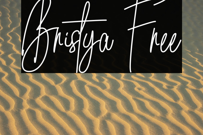 Bristya Free Example 1