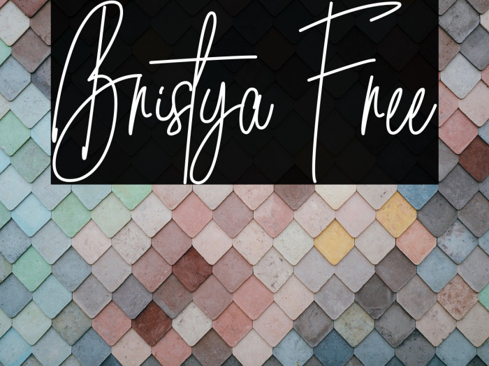 Bristya Free Example 3