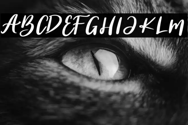 Britale Font examples