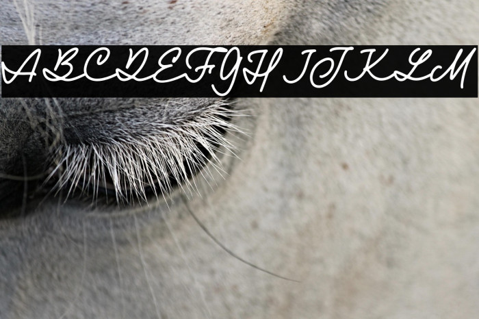 BritaniaLetter Example 1