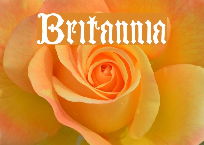 Britannia Example 1