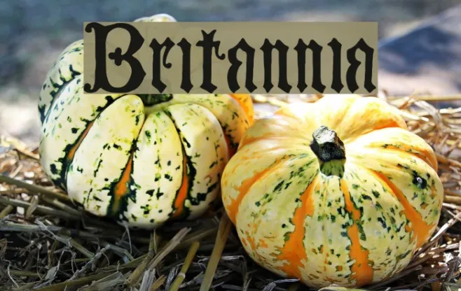 Britannia Example 3