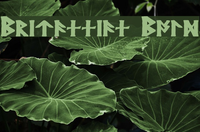 Britannian Bold Font examples