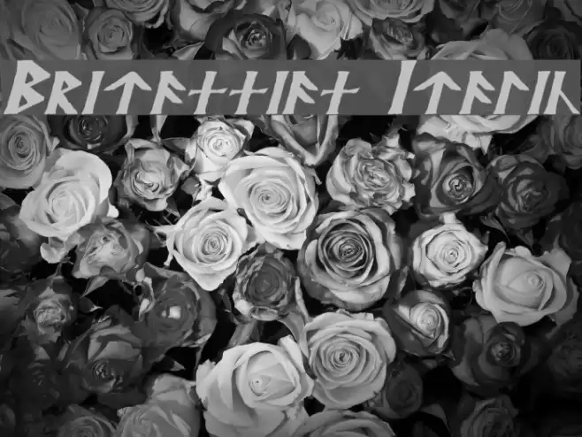 Britannian Italic Font examples