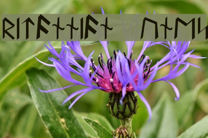 Britannian Runes Font examples
