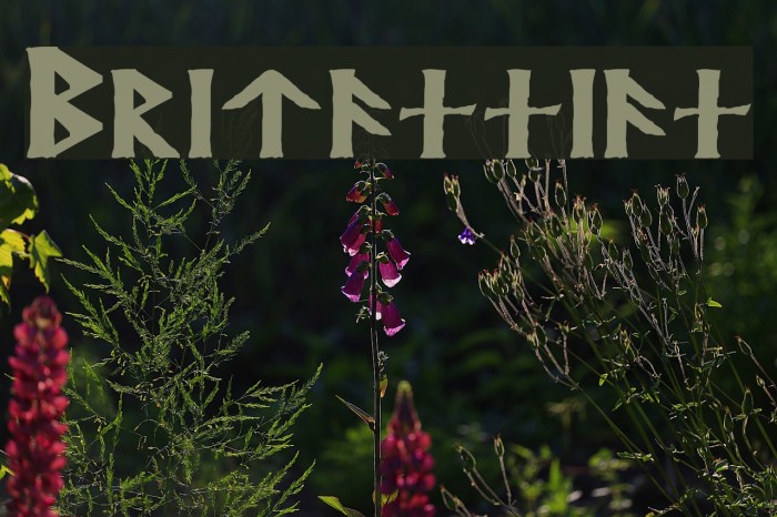 Britannian Font examples