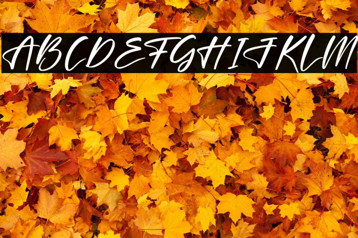 Britany Lovely Example 2