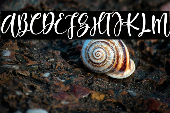 Britany Queens Example 3