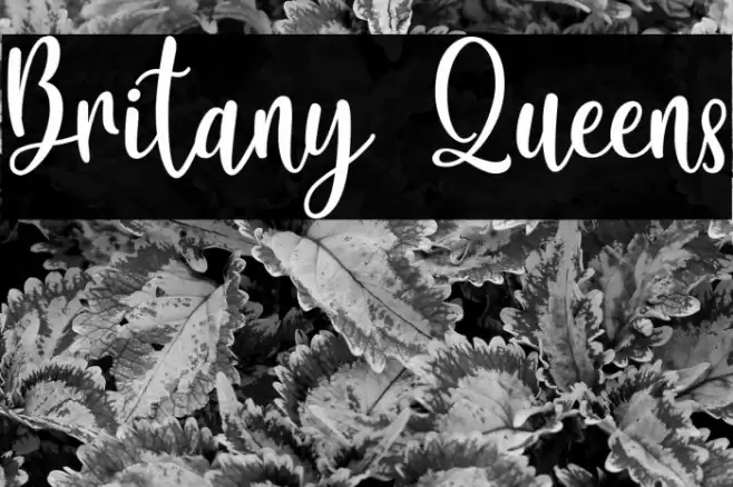 Britany Queens Font examples