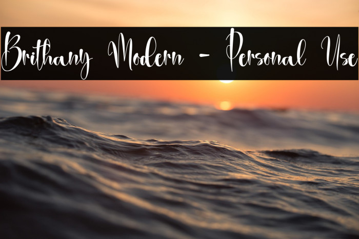 Brithany Modern - Personal Use Example 1