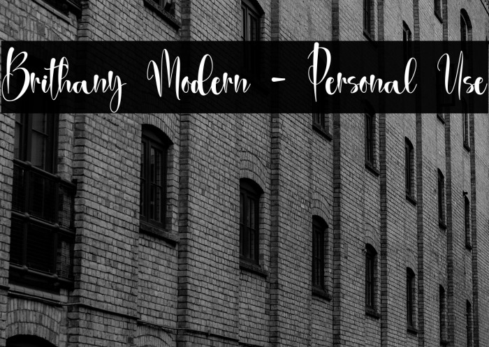 Brithany Modern - Personal Use Example 3