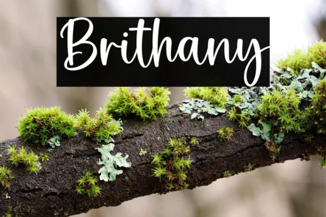 Brithany Example 1