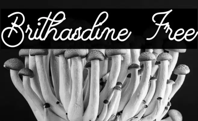 Brithasdine Free Font examples