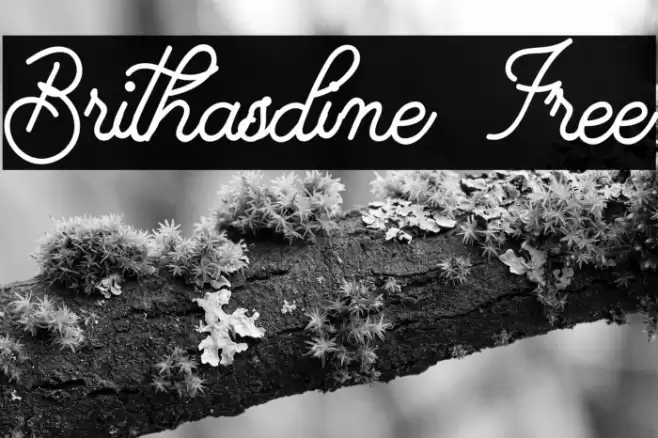 Brithasdine Free Font examples