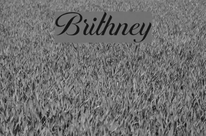 Brithney Font examples