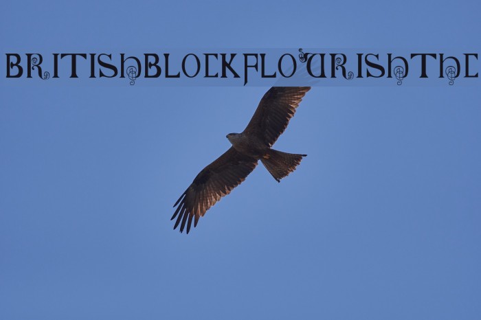 British-Block-Flourish--10th-c- Font examples